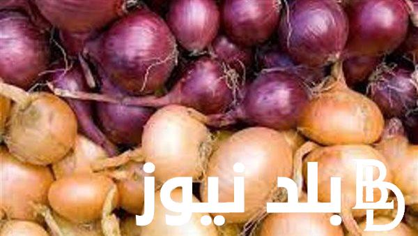 “أحمر وأبيض” سعر البصل اليوم الاحد 21 ابريل 2024 للمستهلك في جميع الاسواق