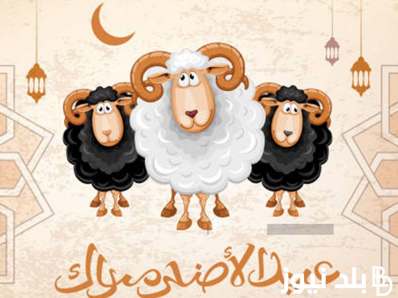 اعرف موعد عيد الأضحى المبارك 2024 وعدد الأيام المتبقية