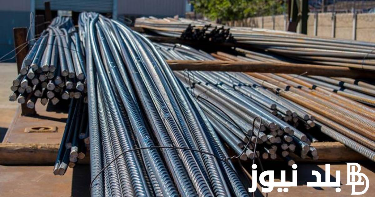 الطن بكام؟.. سعر طن الحديد اليوم حديد عز السبت 13 ابريل 2024 فى جميع المصانع والشركات المصريه