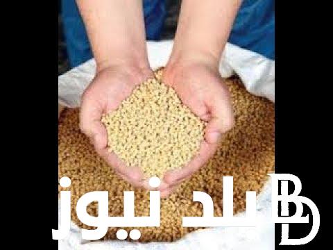 أسعار العلف اليوم الاحد 14 ابريل 2024 فى جميع منافذ البيع المصريه
