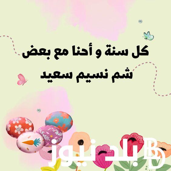 اجمل عبارات تهنئة بمناسبة شم النسيم 2024 للأهل والأصدقاء ” كل سنة والدنيا بين ايديك كل سنة والضحكة بين عنيك “