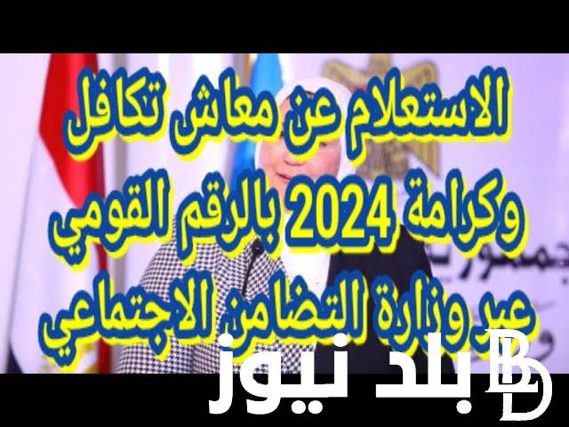 موقع link استعلام تكافل وكرامة مايو 2024 عبر الموقع الرسمي لوزارة التضامن الاجتماعي بالرقم القومي