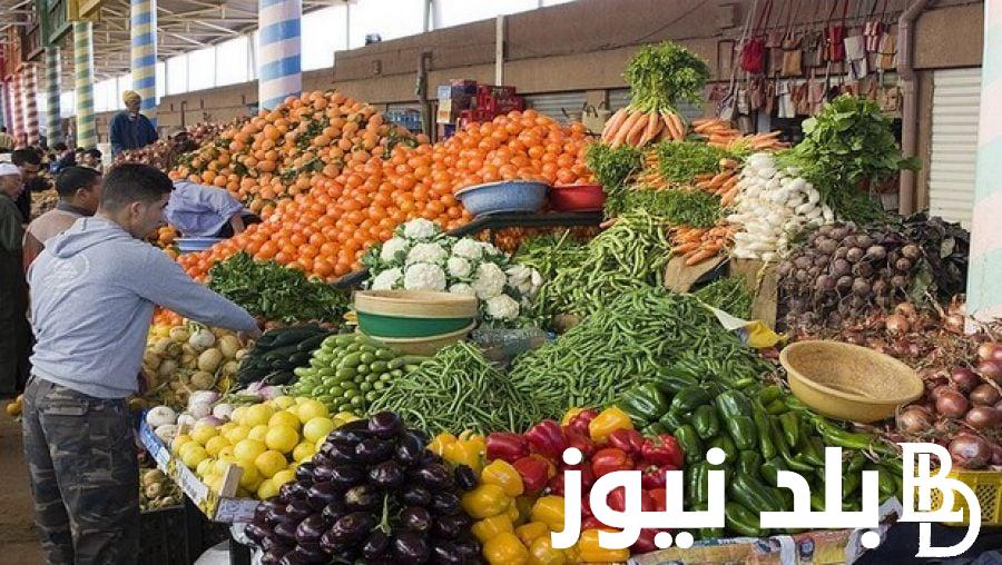 ننشر قائمة اسعار الخضار اليوم السبت 13 ابريل 2024 فى جميع الاسواق المصريه