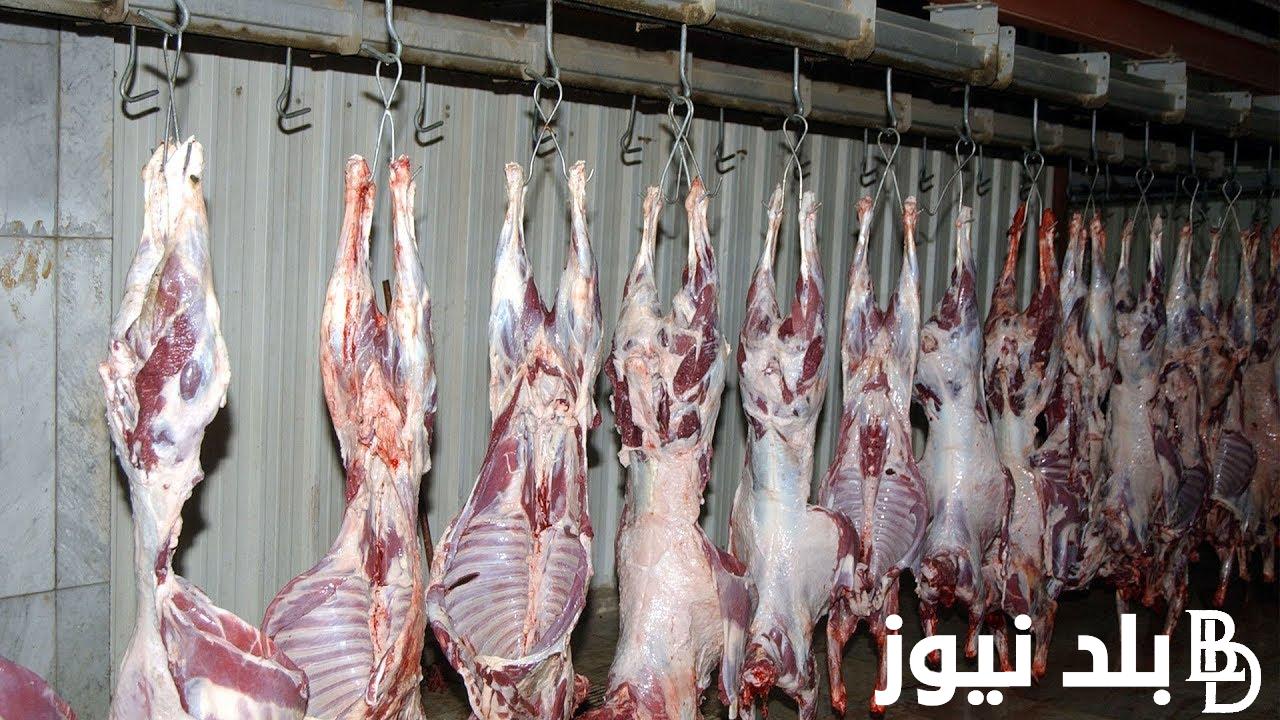اسعار اللحوم اليوم الاحد 28 ابريل 2024 فى جميع منافذ البيع المصريه