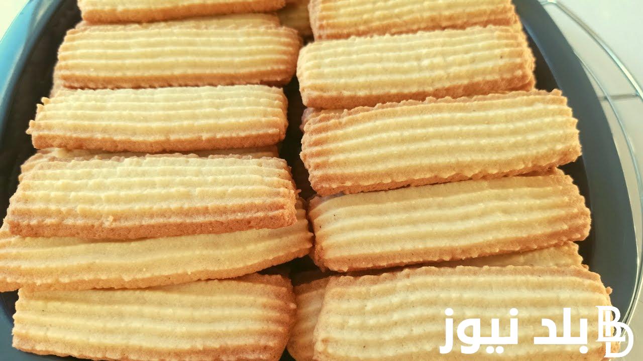“زي المحلات”.. مقادير بسكوت جوز الهند بالكوب في البيت بأسهل الطرق واقل التكاليف