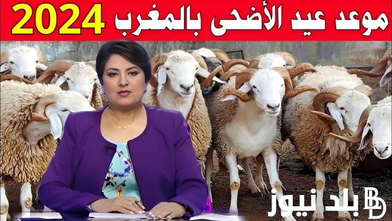 كم باقي على عيد الأضحى | موعد عيد الاضحى 2024 بالمغرب وعدد ايام الاجازة للطلاب والموظفين.. وزارة الأوقاف والشؤون الإسلامية تُعلن