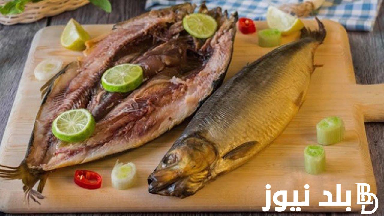 “هولندي وممتاز” أسعار الرنجة اليوم في مصر بجميع المحالات لتجارية