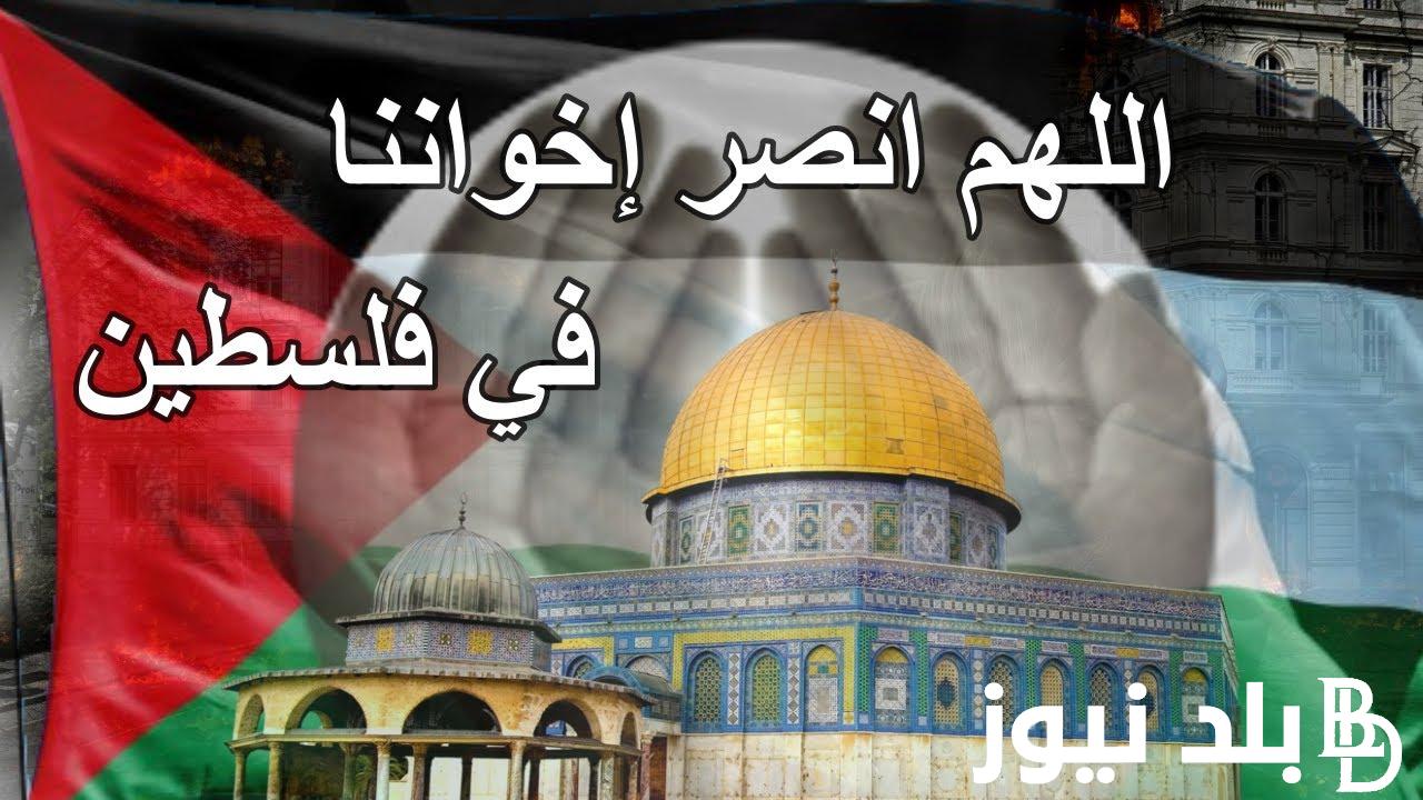 كثفوا الدعاء.. دعاء لأهل غزة في ليلة القدر “اللهم إني أستودعك بيت المقدس وأهل غزة وكُل فلسطين”