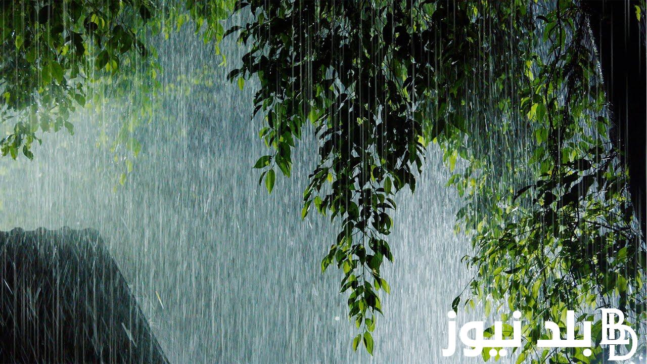 دعاء المطر والرعد والبرق مستجاب.. “سبحان الذى يسبح الرعد بحمده و الملائكة من خيفته”