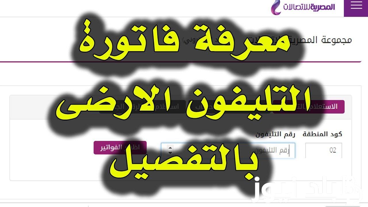 من هُنا.. الاستعلام عن فواتير التليفون الأرضي بالاسم والرقم لشهر ابريل 2024 بالخطوات الصحيحة عبر billing.te.eg