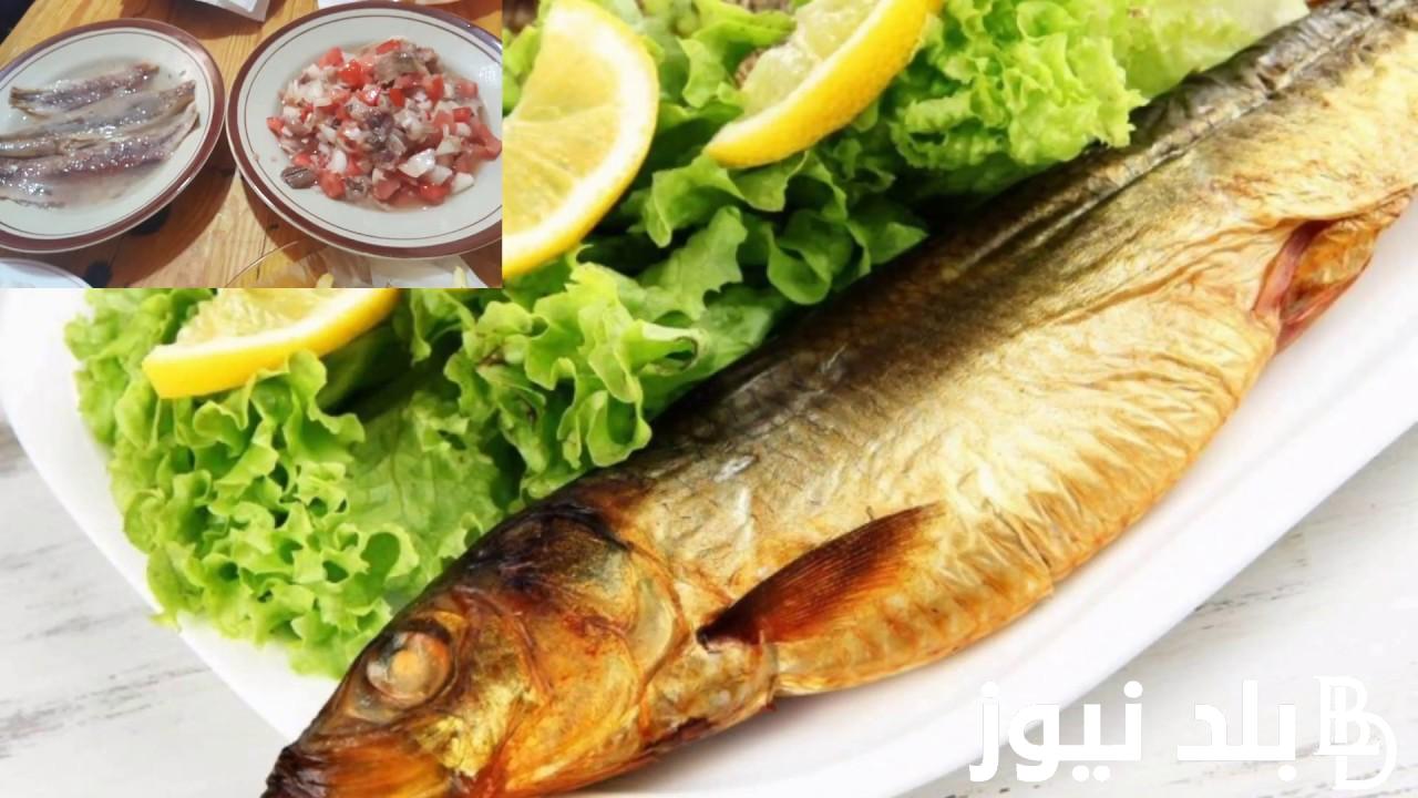 اسعار الرنجه والفسيخ اليوم الاحد 7 ابريل 2024 فى جميع منافذ البيع المصريه