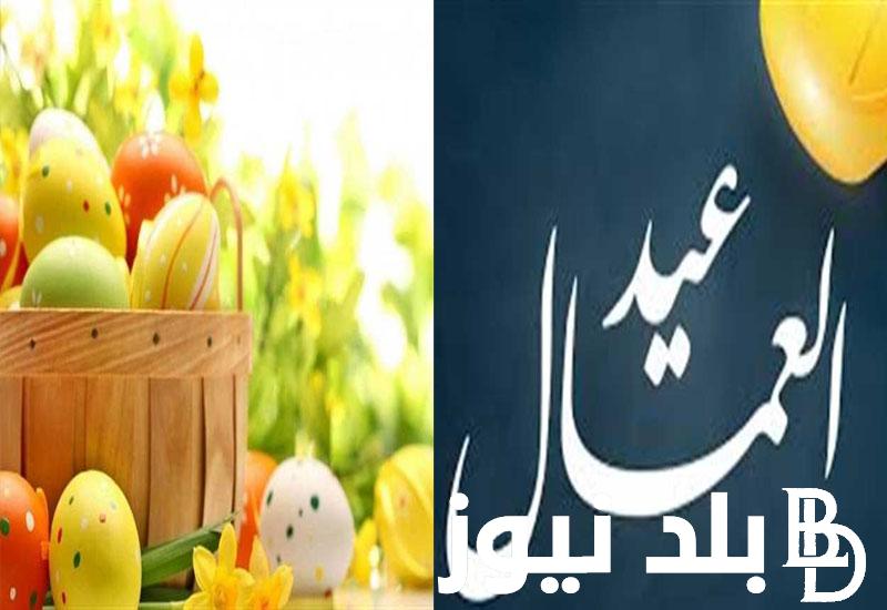 “4 أيام متواصلة” موعد إجازة عيد العمال 204 للقطاع الحكومي والخاص.. هل الخميس 2 مايو إجازة؟