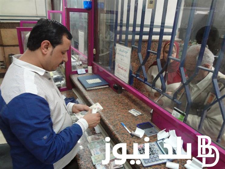 “اعرف هتقبض كام “.. زيادة المعاشات 2024 كام في الميه؟.. الهيئة القومية للتأمينات الاجتماعية تعلن عن التفاصيل زيادة المعاشات