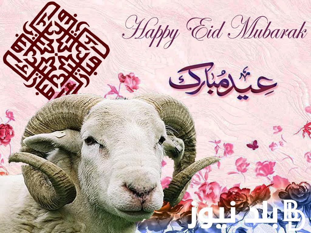 البحوث الفلكلية تُعلن موعد عيد الاضحى 2024 في مصر وعدد ايام الاجازة للعاملين بالقطاع الحكومي