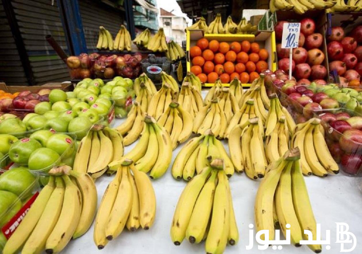 الموز بـ 11 جنيهًا.. أسعار الفاكهة اليوم الجمعة 26 ابريل 2024 في جميع الاسواق