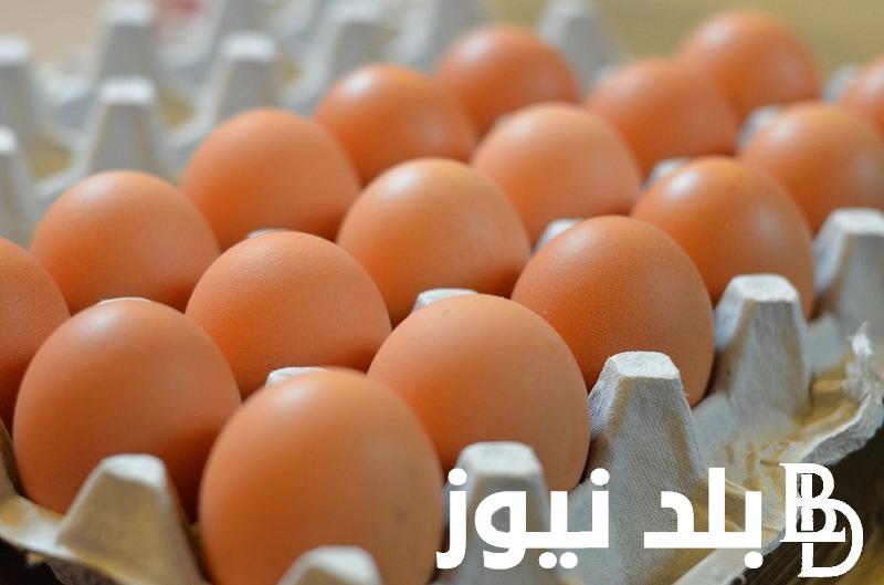 الطبق وصل كام؟.. سعر كرتونة البيض اليوم الاحد 14 ابريل 2024 في جميع الاسواق والشركات