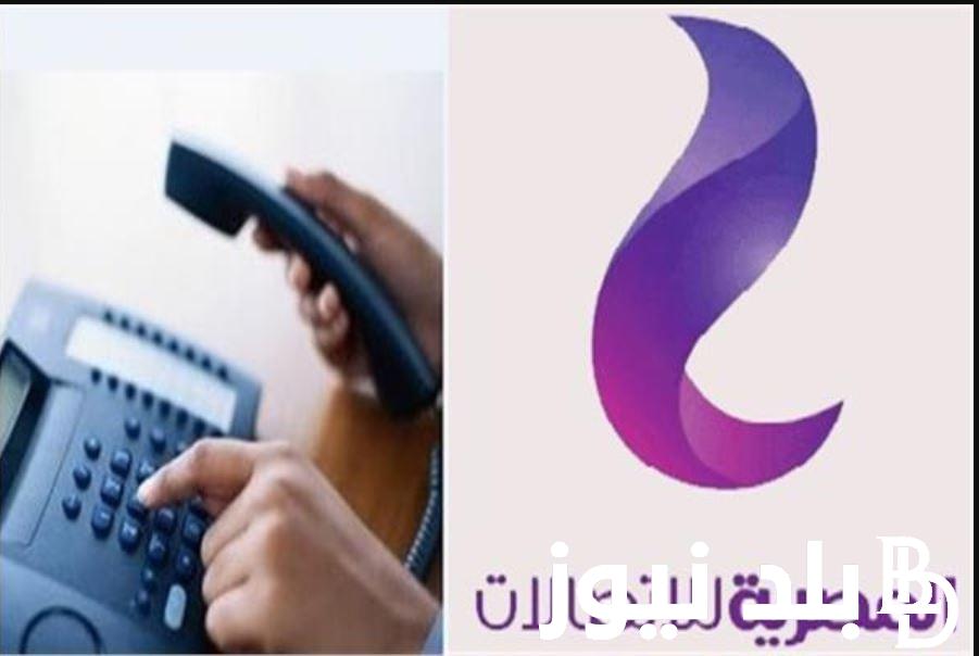 “أدفع أونلاين” فاتورة التليفون الأرضي لشهر أبريل بالرقم القومي 2024 عبر موقع المصرية للأتصالات