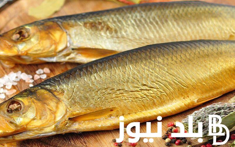 “استعدادا للعيد” سعر كيلو الرنجه اليوم الخميس 4 ابريل 2024 في جميع المحلات