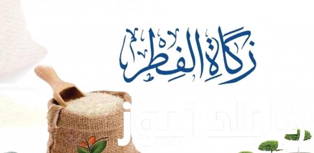 متى اخر موعد لاخراج زكاة الفطر ؟.. دار الإفتاء المصرية تُجاوب