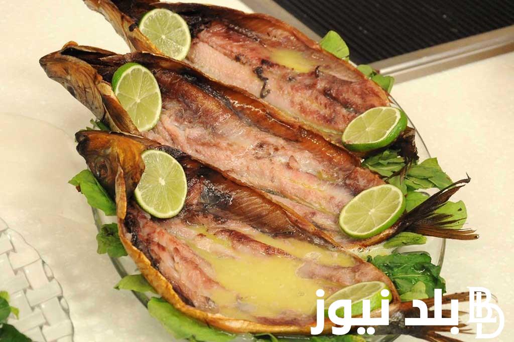 اسعار الفسيخ والرنجه اليوم الاحد 28 ابريل 2024 فى جميع منافذ البيع المصريه