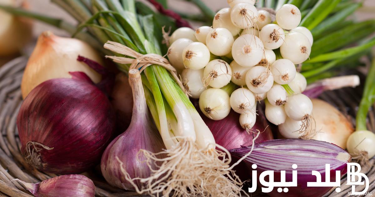 بكام.. سعر البصل اليوم الجمعه 12 ابريل 2024 فى جميع الاسواق المصريه