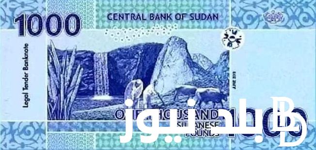 1000 جنيه مصري كم جنيه سوداني اليوم الاثنين 20 مايو 2024 في السوق السوداء