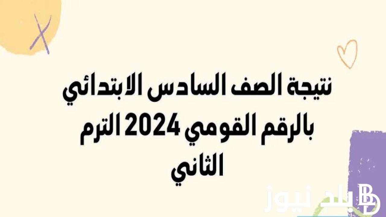 من هُنا.. رابط نتيجه الصف السادس الابتدائي الترم الثاني 2024 وخطوات معرفة النتيجة