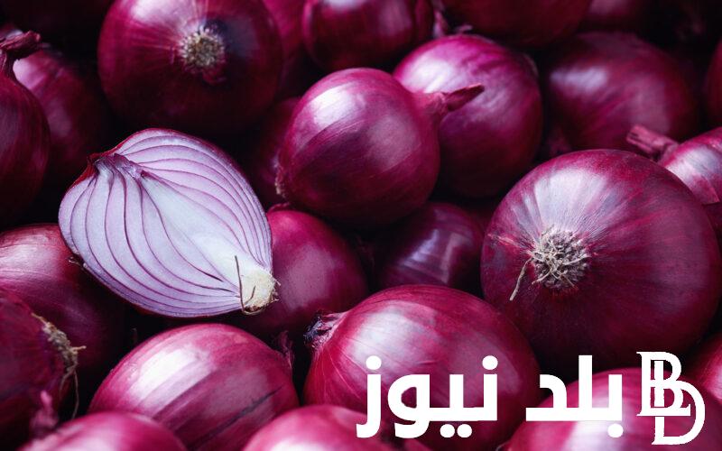 الكيلو بكام؟.. اسعار البصل في سوق العبور اليوم الاثنين 27 مايو 2024 للمستهلك في مصر
