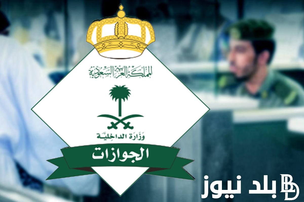 الاستعلام عن تأشيرة برقم الجواز 1445 عبر منصة التأشيرات السعودية و ما هي أنواع التأشيرات