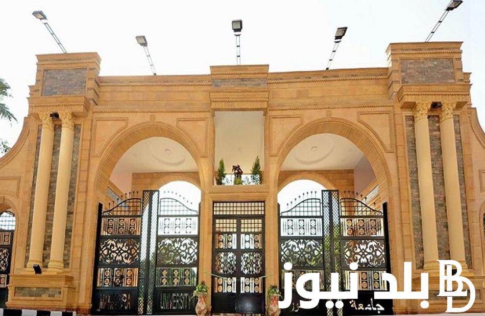 رابط التقديم في وظائف جامعة المنصورة الجديدة 2024 وما هي الشروط المطلوبة للتقديم