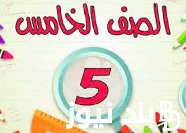 رسميا نتيجة الصف الخامس الابتدائى الترم الثانى 2024 من خلال موقع بوابة التعليم الاساسى