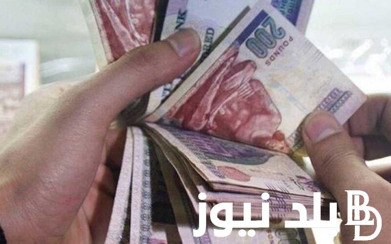 الآن.. الاستعلام عن قيمة المعاش بالاسم 2024 عبر nosi.gov.eg وماهى اماكن صرف المعاشات