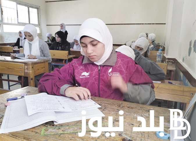 من هنا>> لينك نتيجة الصف الثاني الاعدادي برقم الجلوس 2024 في كل المحافظات عبر موقع نتيجة نت