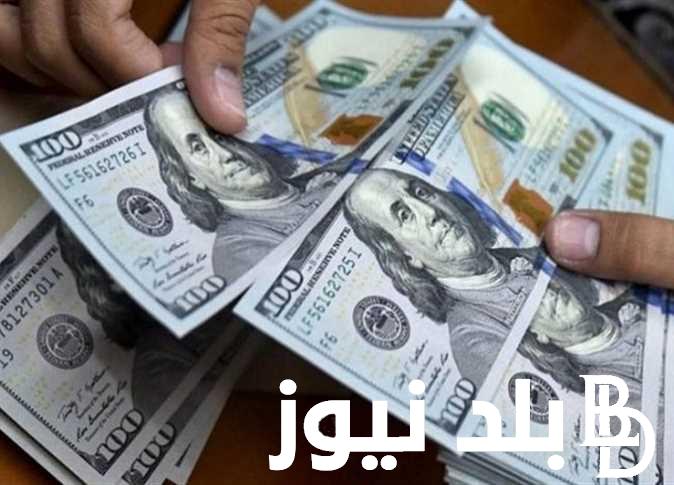 الأخضر بقا بكام؟… سعر الدولار في السوق السوداء اليوم الأربعاء 15 مايو 2024 لحظة بلحظة