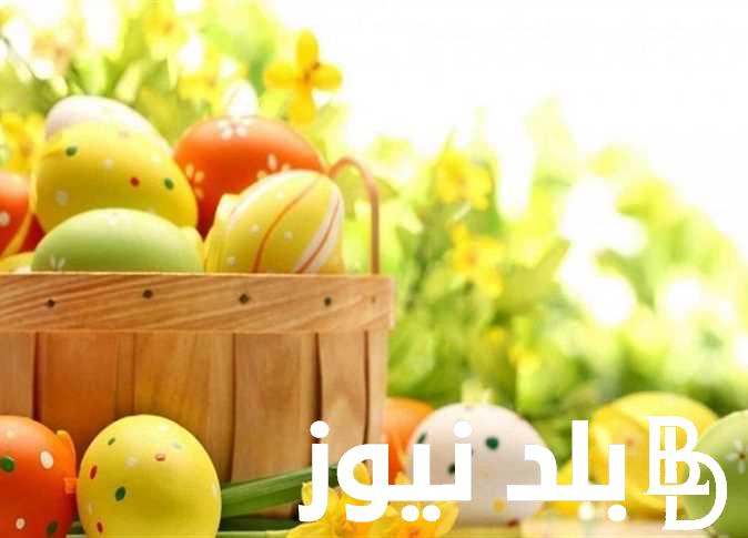200+ تهنئة شم النسيم 2024كل .. “عام وانت بخير يا وردة حياتي.. اهنئك بالبصل والرنجة والفسيخ بقدوم شم النسيم”