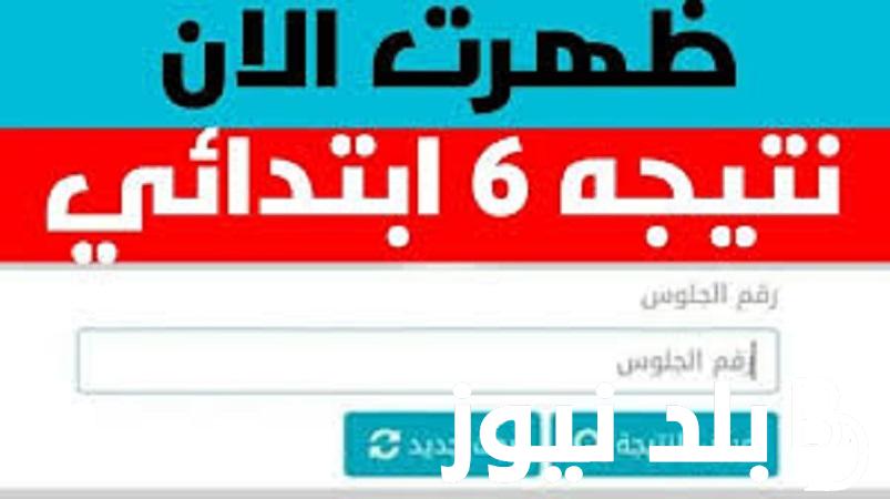 ‘لينك” نتيجة الصف السادس الابتدائى الترم الثانى 2024 بالاسم والرقم القومى