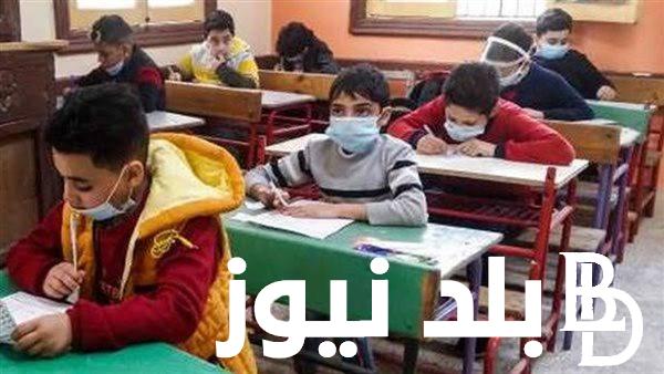 تستطيع الأن معرفه.. نتيجة الصف السادس الابتدائي الترم الثاني 2024 بالاسم ورقم الجلوس