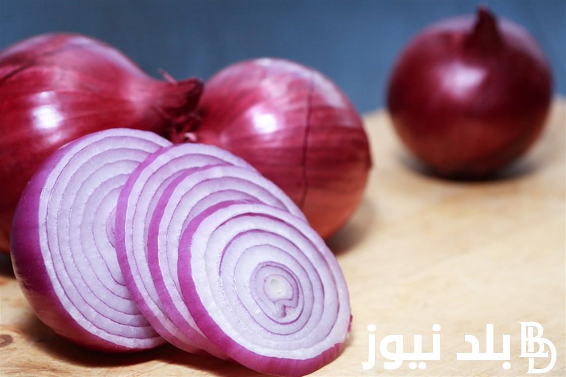 ننشر الآن سعر البصل الاحمر اليوم الخميس 2 مايو 2024 وما هي أسعار الخضار في سوق العبور