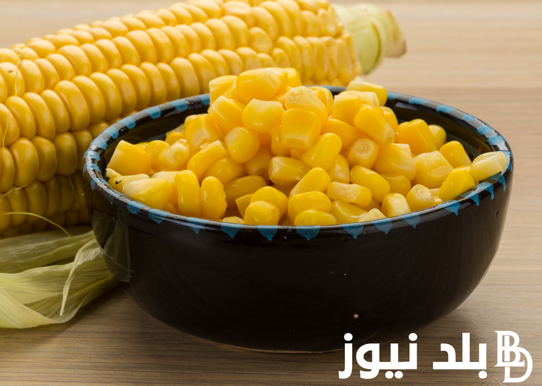 الذره الصفراء بكام؟ سعر طن الذره الصفراء اليوم الإثنين 6 مايو 2024 في الأسواق المحليه