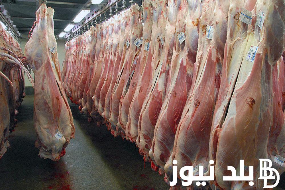 “بقري وجاموسي” سعر كيلو اللحم البقري قائم اليوم الثلاثاء 28 مايو 2024 في الأسواق