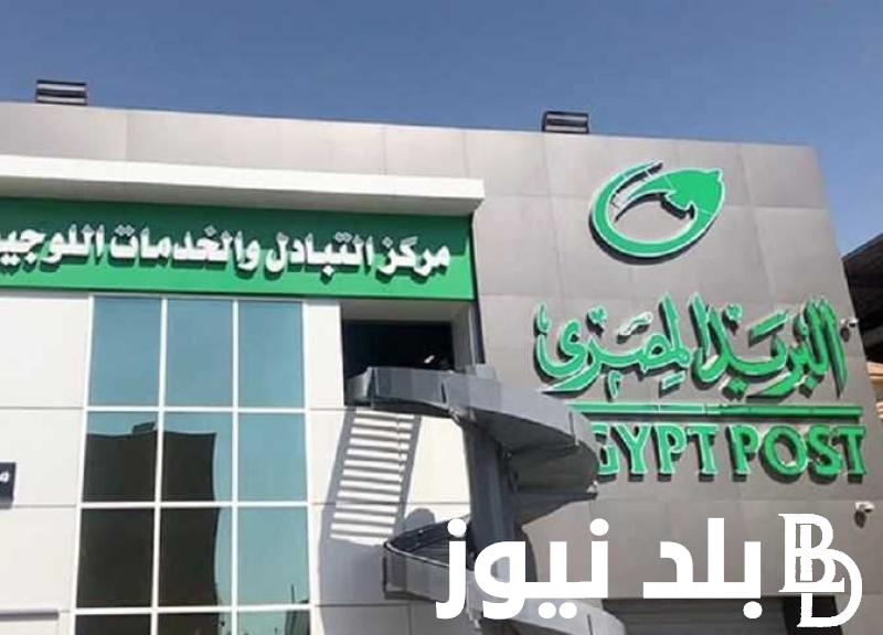 من هُنا.. رابط نتيجة مسابقة البريد 2024 بالاسم والرقم القومي عبر بوابة الوظائف الحكومية
