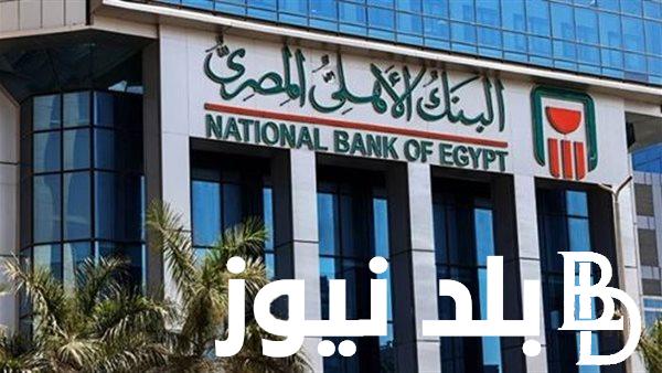 تدريب البنك الأهلي للطلاب 2024.. تعرف علي الشروط والاوراق المطلوبة للتقديم