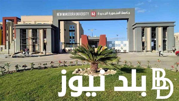 “الحق الفرصة” وظائف جامعة المنصورة الجديدة 2024 والشروط المطلوبة ورابط التقديم
