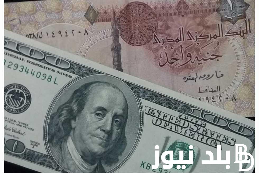 ما هو سعر الدولار اليوم مقابل الجنيه المصري السبت 25 مايو 2024 في السوق السوداء والبنوك