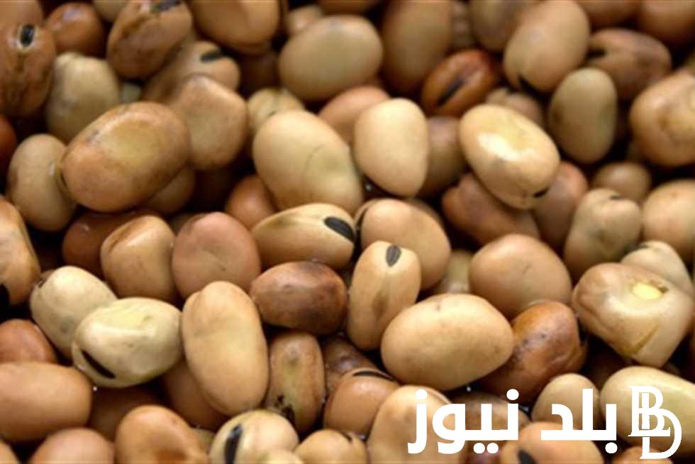“الأسترالي بـ25 ألف ج” سعر طن الفول البلدي اليوم الثلاثاء 7 مايو 2024 في جميع الاسواق المصرية