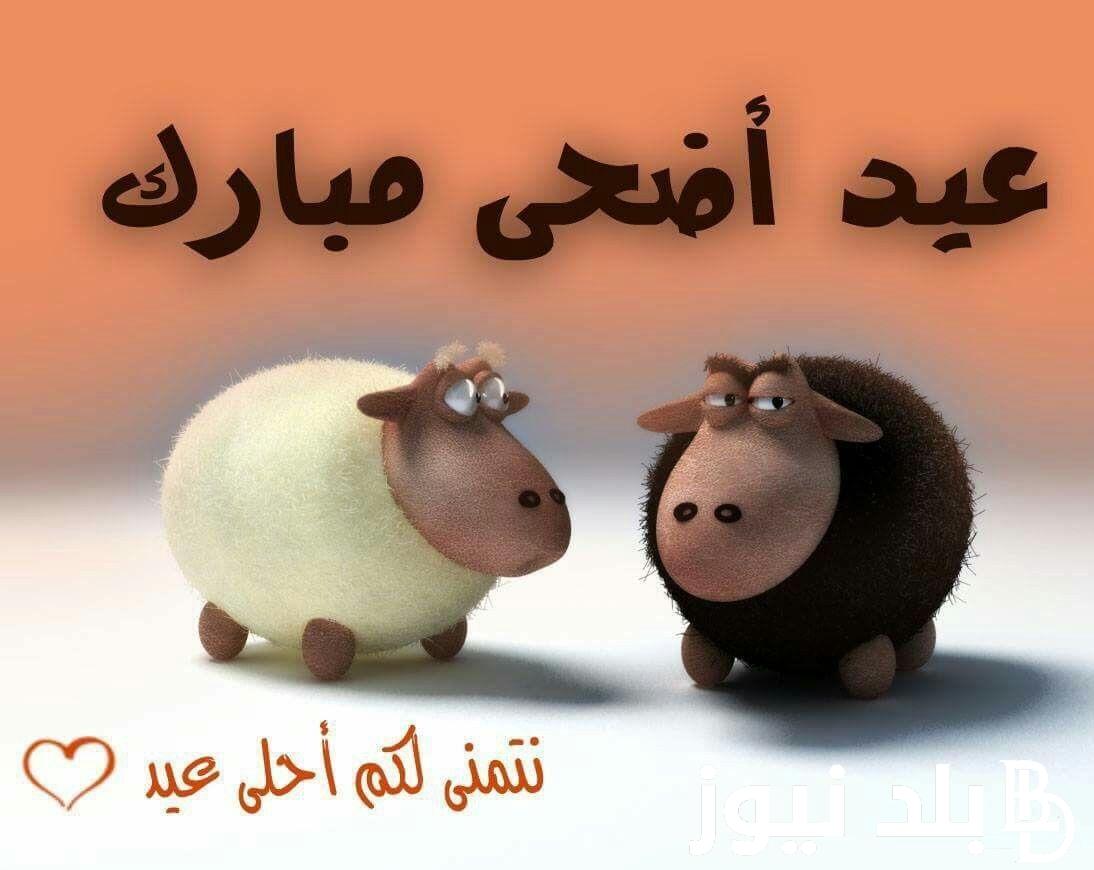 متي موعد عيد الاضحى 2024 في مصر العد التنازلي ووقفة عرفات وفقاً للحسابات الفلكية