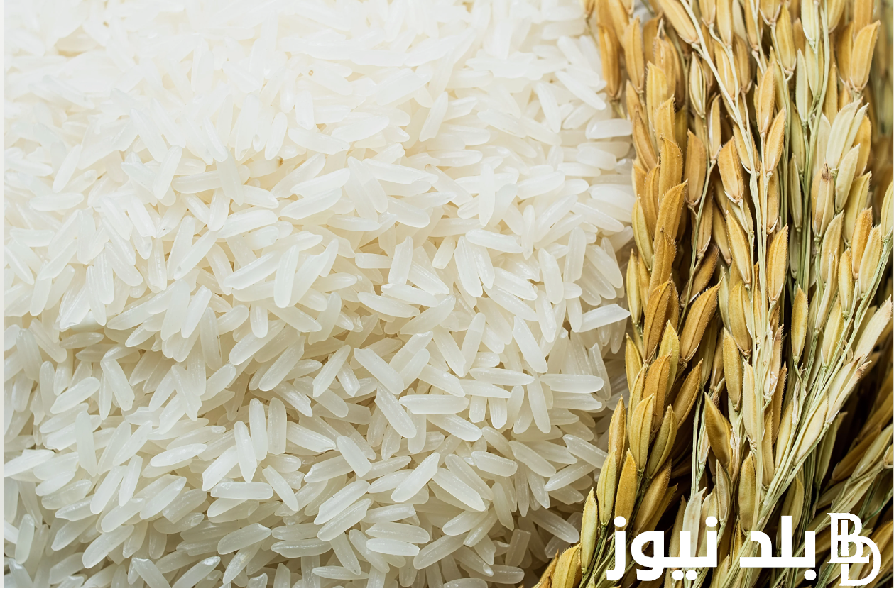 الطن بكام؟.. سعر طن الارز الشعير اليوم الجمعة 24 مايو 2024 للتجار والمستهلكين