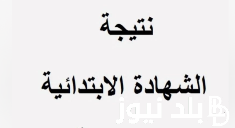 متاح الآن.. نتيجه الصف السادس الابتدائى برقم الجلوس 2024 في جميع المحافظات