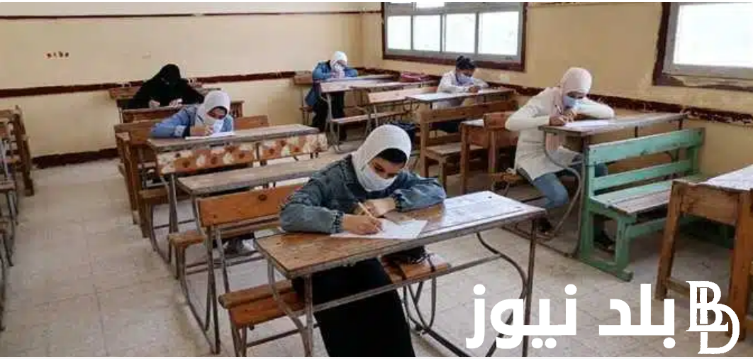 نماذج امتحانات الصف الرابع الابتدائي pdf الترم الثاني 2024 بجميع المواد