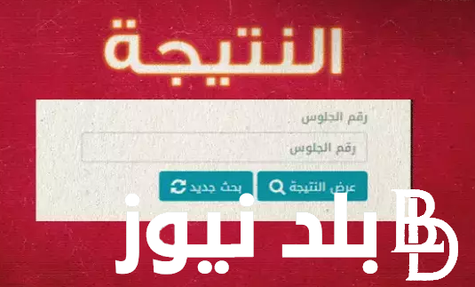 استعلم من هُنا.. نتيجة رابعة ابتدائي برقم الجلوس 2024 الترم الثاني عبر بوابة التعليم الاساسي